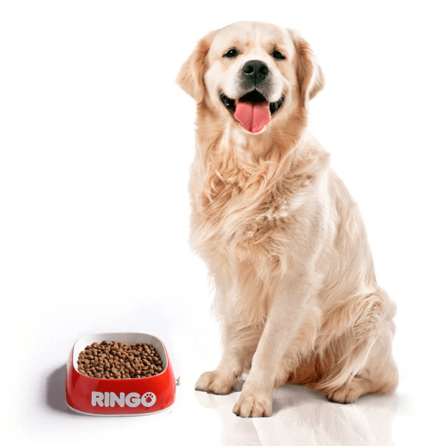 Ringo Original Adultos | Concentrado para Perros Balanceado • Discontegral Ibagué y Tolima | Discontegral Ibagué Tolima - Concentrados Contegral - Ringo - Nutriss - Mirringo - Filpo Ringo Original Adultos | Concentrado para Perros Balanceado • Discontegral Ibagué y Tolima - Imagen 2