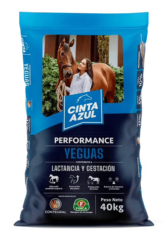 Cinta Azul Performance Yeguas Peletizado 40kg | Concentrado Premium para Equinos • Contegral Ibagué y Tolima | Discontegral Ibagué Tolima - Concentrados Contegral - Ringo - Nutriss - Mirringo - Filpo Cinta Azul Performance Yeguas Peletizado 40kg | Concentrado Premium para Equinos • Contegral Ibagué y Tolima